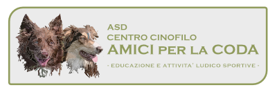Amici per la Coda